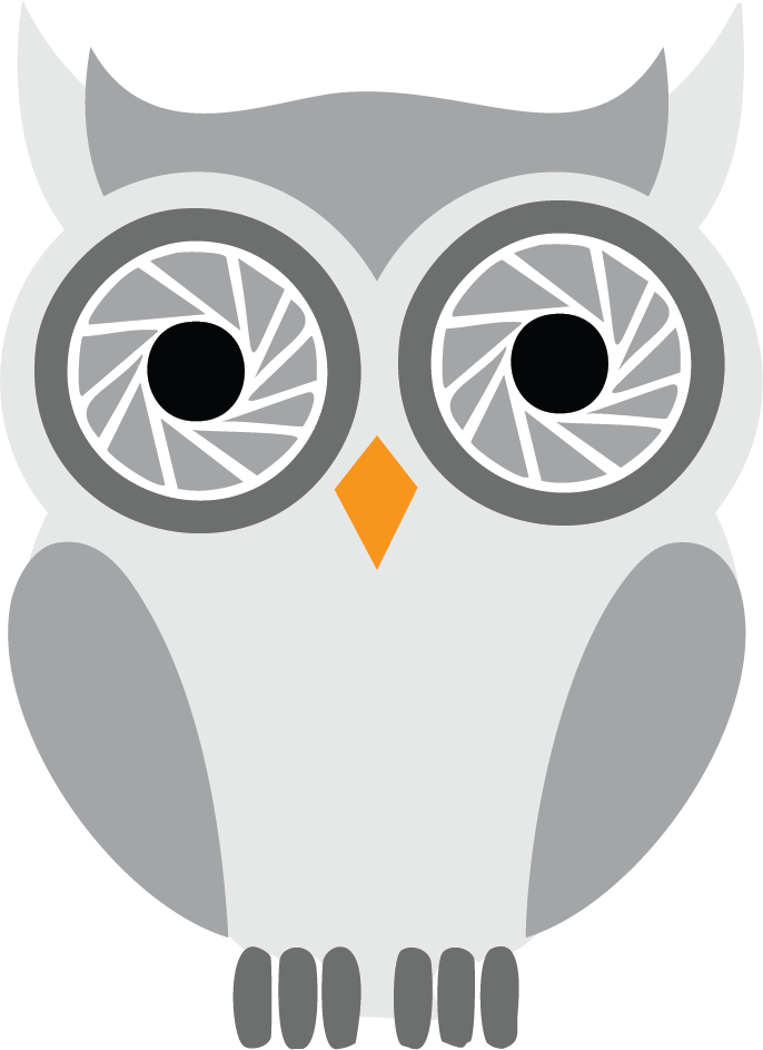 logo of an owl with camera shutters for eyes